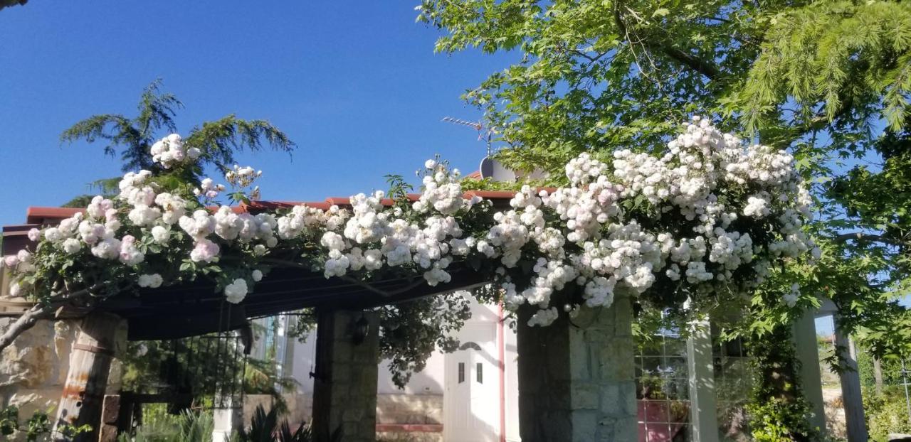Country House Bubullime Albania Lushnje ภายนอก รูปภาพ