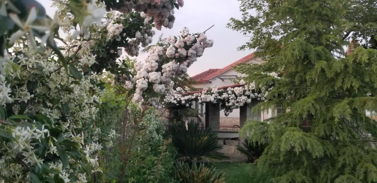 Country House Bubullime Albania Lushnje ภายนอก รูปภาพ