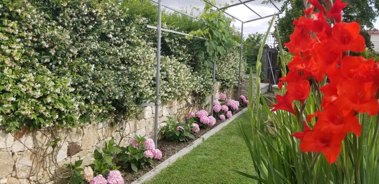 Country House Bubullime Albania Lushnje ภายนอก รูปภาพ