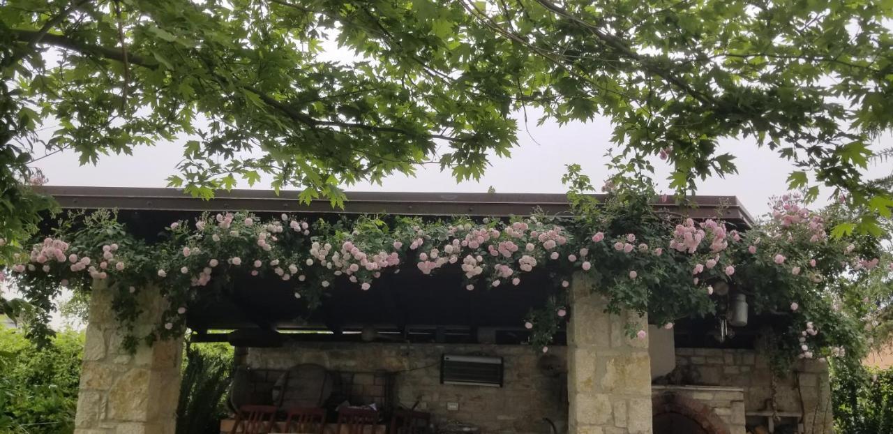 Country House Bubullime Albania Lushnje ภายนอก รูปภาพ