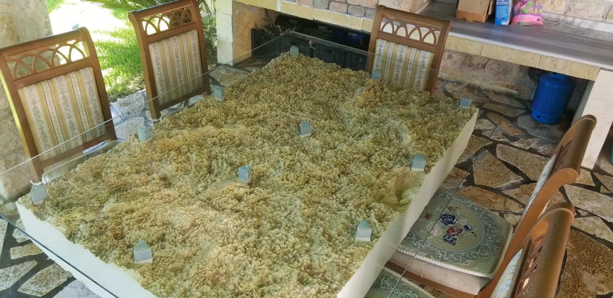 Country House Bubullime Albania Lushnje ภายนอก รูปภาพ