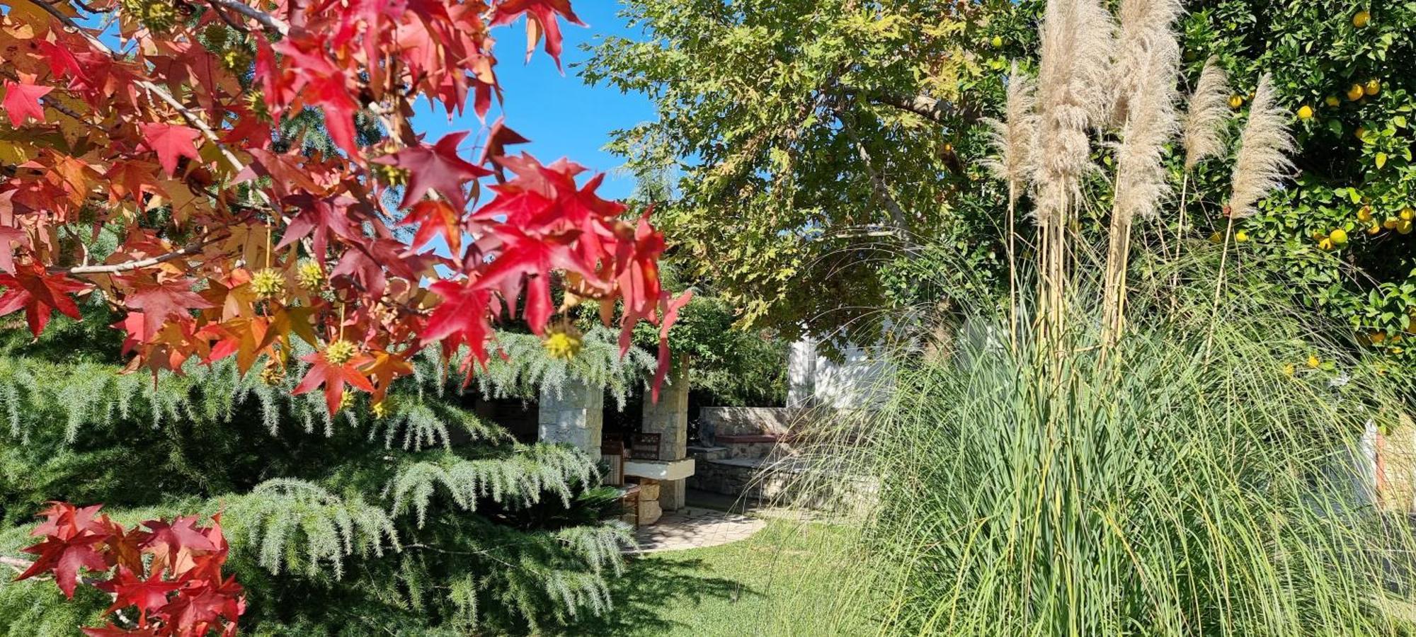 Country House Bubullime Albania Lushnje ภายนอก รูปภาพ